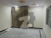 5 Marla Single Storey House For Rent In Phase 4a