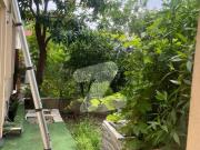 5 marla single story house available for rent in bahria...