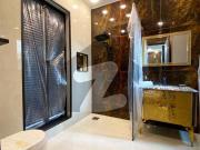 5 marla splendid and magnificient bungalow phase 9 town...