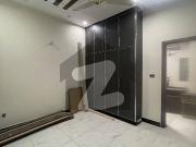 5 Marla Tile Floor Lower Portion Is For Rent In Luxorian...