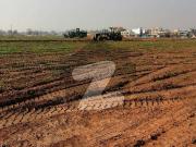 5 Marla Top Location Plot For Sale