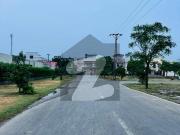 5 marla tulip ext hot location plot between houses