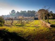 5 quarto, Águeda Águeda 97488933