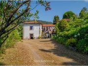 5 quarto, Arcos de Valdevez Arcos de Valdevez 99729517