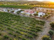 5 quarto, Vidigueira Beja 98751704