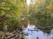5 Schlafzimmer Haus Hamburg Deutschland 95902617