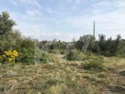 5 Terrenos Total 43.000 m2 em Alcolombal Terrugem Sintra