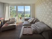 5½ ZI WOHNUNG IN UITIKON WALDEGG ZH, MÖBLIERT, TEMPORÄR