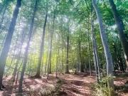 5 Zimmer 173 m² auf Anfrage Kaufpreis Häuser in Dortmund