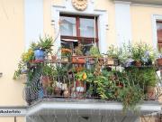 5 Zimmer Wohnung und 2 Balkone