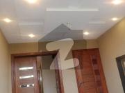 5Marla House Available For Rent