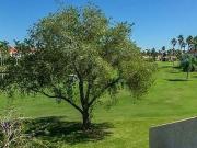 6000 Bahia Del Mar Cir #229 Saint Petersburg, FL 33715