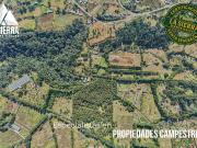 6000 mts con Bosque en Zona de Plusval?a Creciente