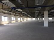 600 sqm Brand New PEZA registered Office Space Unit for...