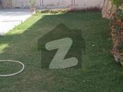 600 Yards Ground Plus One Independent Bungalow Rent For...