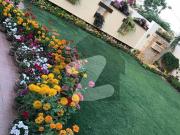 600/Yard House 5 DHA Phase 5