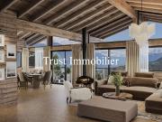 6032. Erhabenes neues Chalet in Blüche