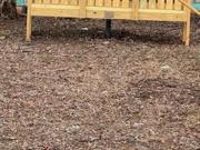 6041 Trinity St, Philadelphia, PA 19142 | MLS #PAPH2452...