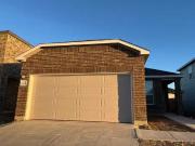 60510008 11615 Black Rose