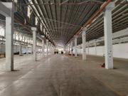 60,158 sqm Lot for Sale in CAA, Las Pinas