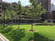 60 Homewood Avenue