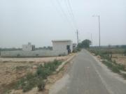 60 Sq.Yd. Plot in Najafgarh Delhi Listing ID #8727