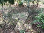 60x100 Plot Size Proper Corner Plot G14/4 For Sale Ideal...