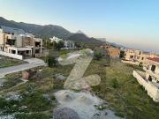 60x90 Beautiful Back Open Plot on Prime Location In D12/2