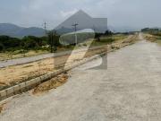 60x90 Top Location Main Double Road Front Open
