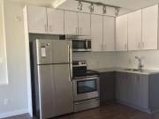 6172 Fraser Street 202 Vancouver BC V5W 3A1 1 Bedroom...