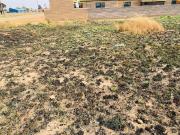 623 m² Land available in Jameson Park