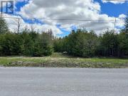 6256 Nick Adams Road, Ottawa, ON, K4P 1H2 vacant land...