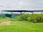 6318 E County Road 6500, Lubbock, TX 79403 | MLS #202562...