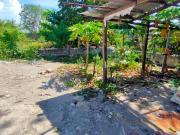 636 sqm Commercial Lot for Sale in Santo Domingo,...