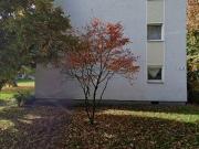 63 m2 apartment for rent in Gelsenkirchen