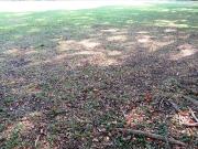 650 square meters Lot for Sale in Pacific Village,...