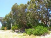 651 m² Land available in Summerstrand