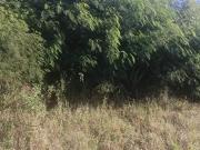 655 m² Land available in Reservoir Hills