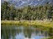 662 E Hansen Ave, Jackson, WY 83001 [Updated 10/6]