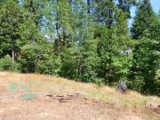 662 ROAN WAY, AVERY, CA 95224