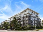 6633 cambie st 50X Vancouver BC V6P 2 Bedroom Apartment...