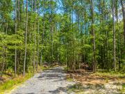 6774 Spring Grove Road