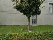 67 m2 apartment for rent in Feldkirch