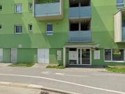 67 m2 apartment for rent in Graz