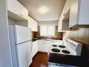 6913 101 Ave Nw Apartment for Rent