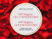 695 and 699 Niagara Bachelor Unit Apartment for Rent
