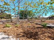 6,198 sqm Prime Residential Lot For Sale in Guadalupe...