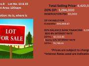 6.42M Blk8 Lot 13 & 15 Lot Only for sale in Viente...
