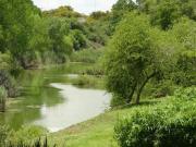 6.4 ha Farm in Bloemfontein