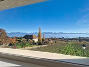 6,5 Zimmer Dreierzimmer mit wunderschönem Garten